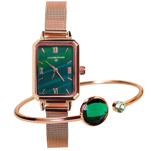 Le Duo Montre et Bracelet Signé Vuillemin Regnier